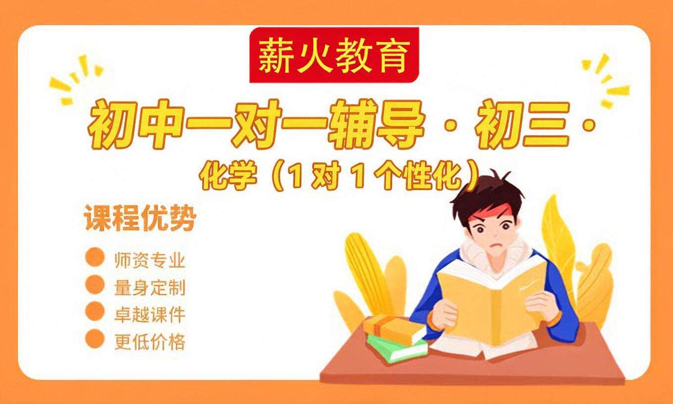 初中一对一辅导 &middot; 初三 &middot; 化学
